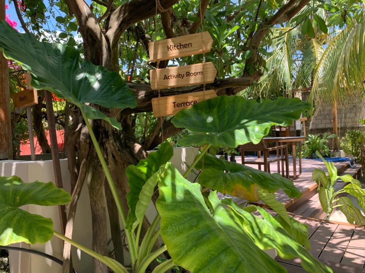 Viluveli Holiday Retreat Hanimaadhoo Island Exterior photo